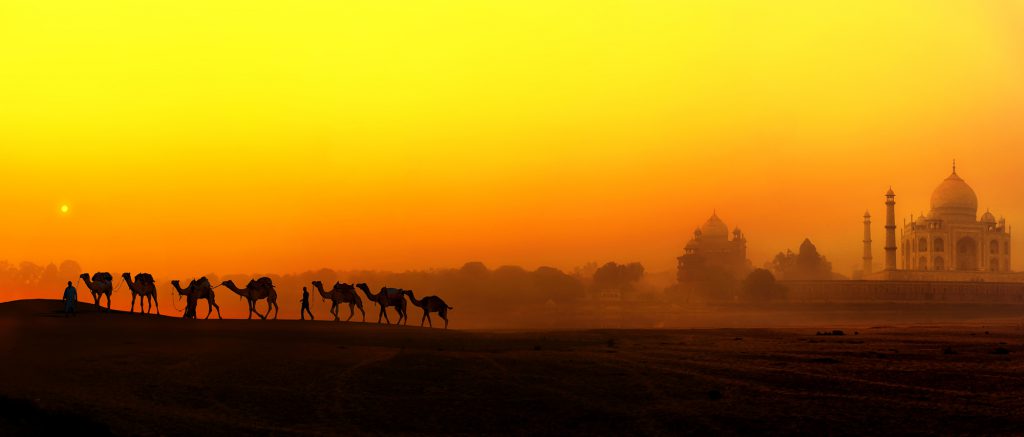 ss-india-taj-camels-web