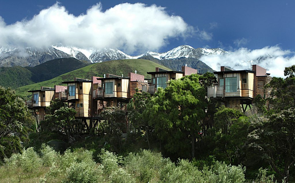 Hapuku Lodge Tree Houses