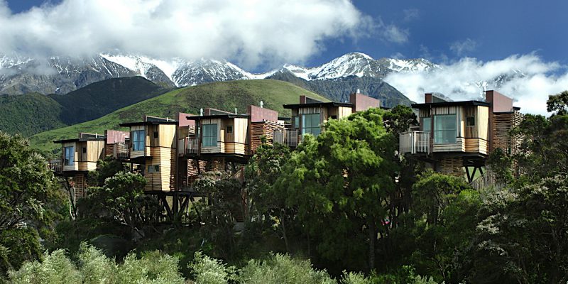 Hapuku Lodge Tree Houses