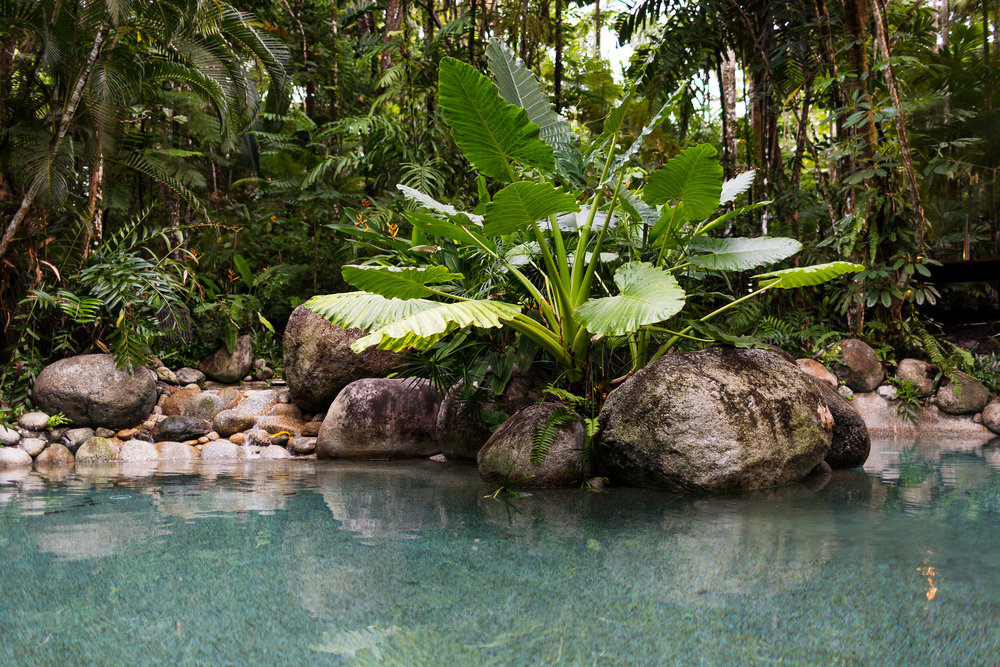 Pool | Photo Credit: Jessa Rachael Photography