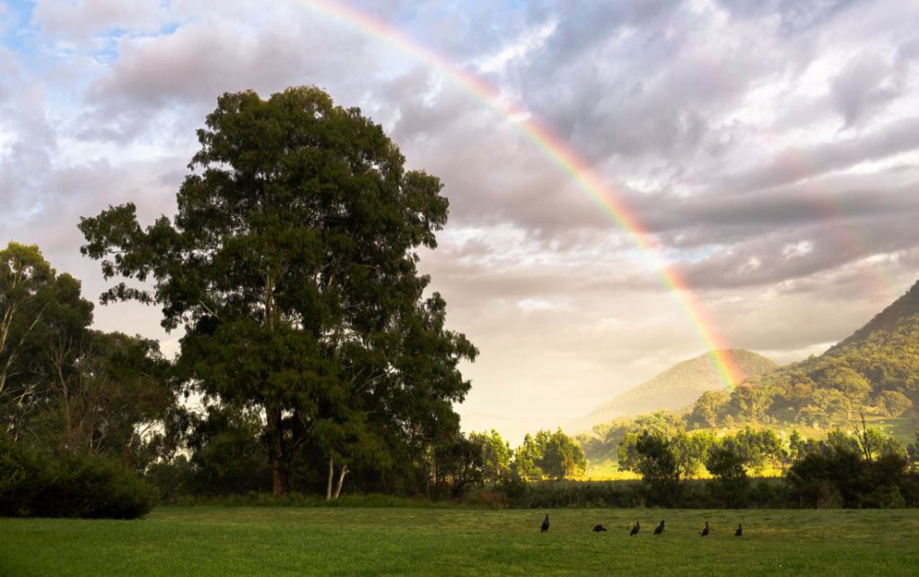 Rainbow | Photo Credit: Jessa Rachael Photography