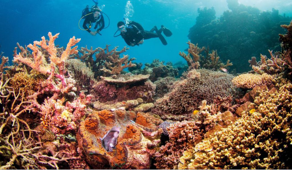 Diving | Photo Credit: Lizard Island: Tourism Queensland