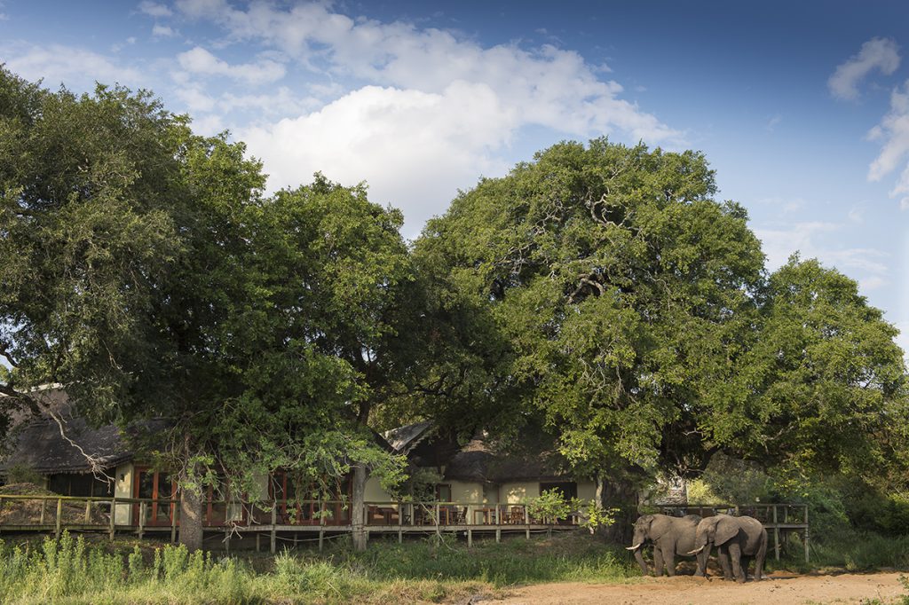 Exterior | Photo Credit: Tintswalo Safari Lodge