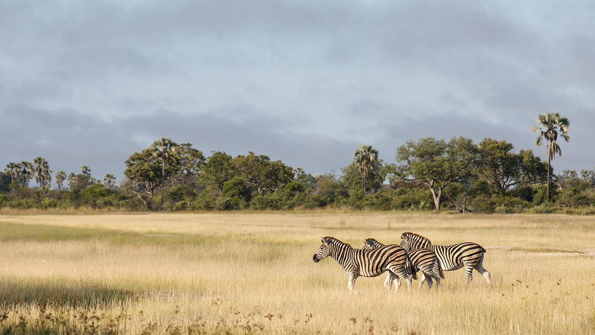 Photo Credit: Botswana Tourism