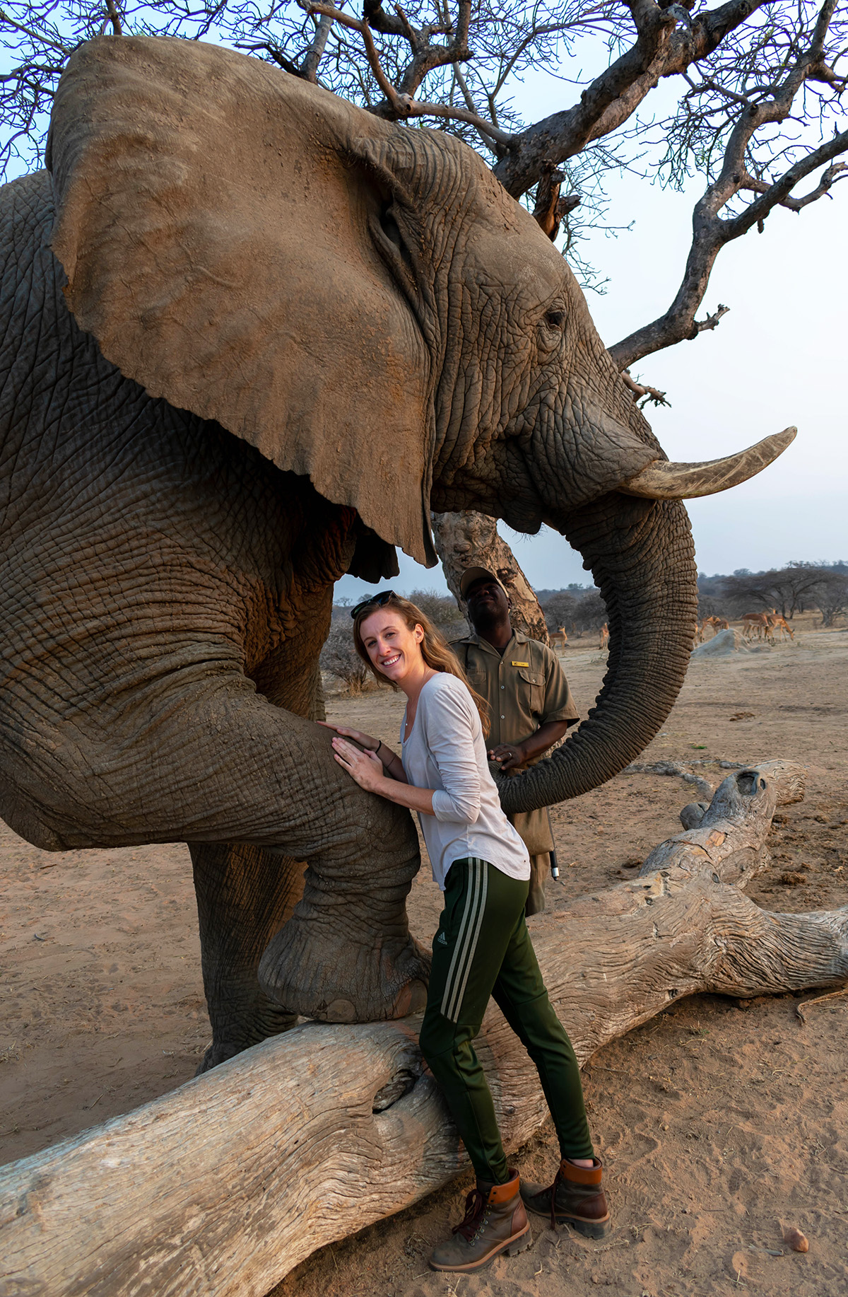 Elephant Encounter | Photo Credit: Kathryn Fischer