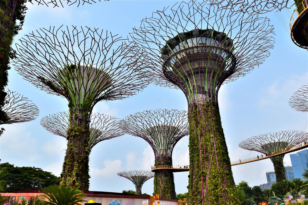 Gardens by the Bay, Singapore | Photo Credit: Donna Van Buren