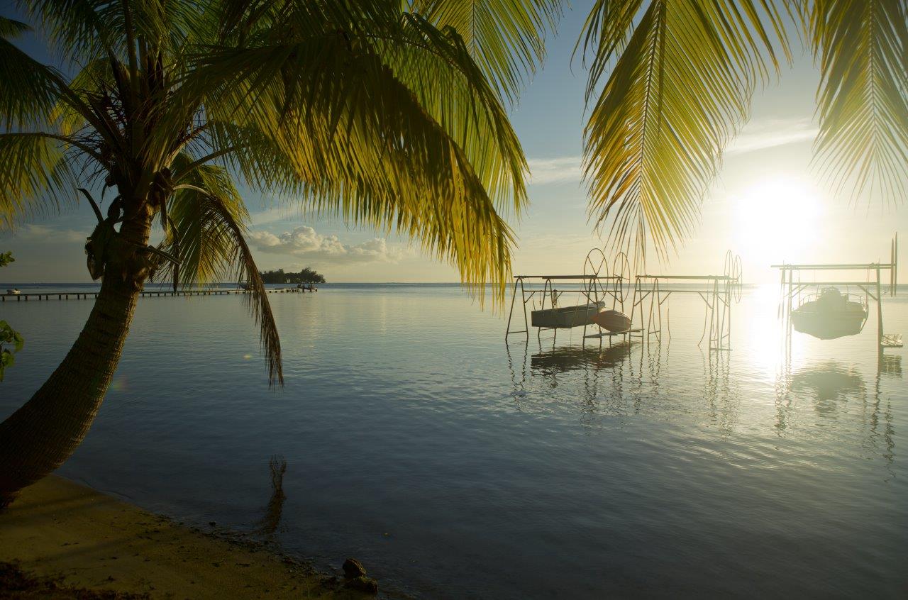 Tahiti: Forever Favorite