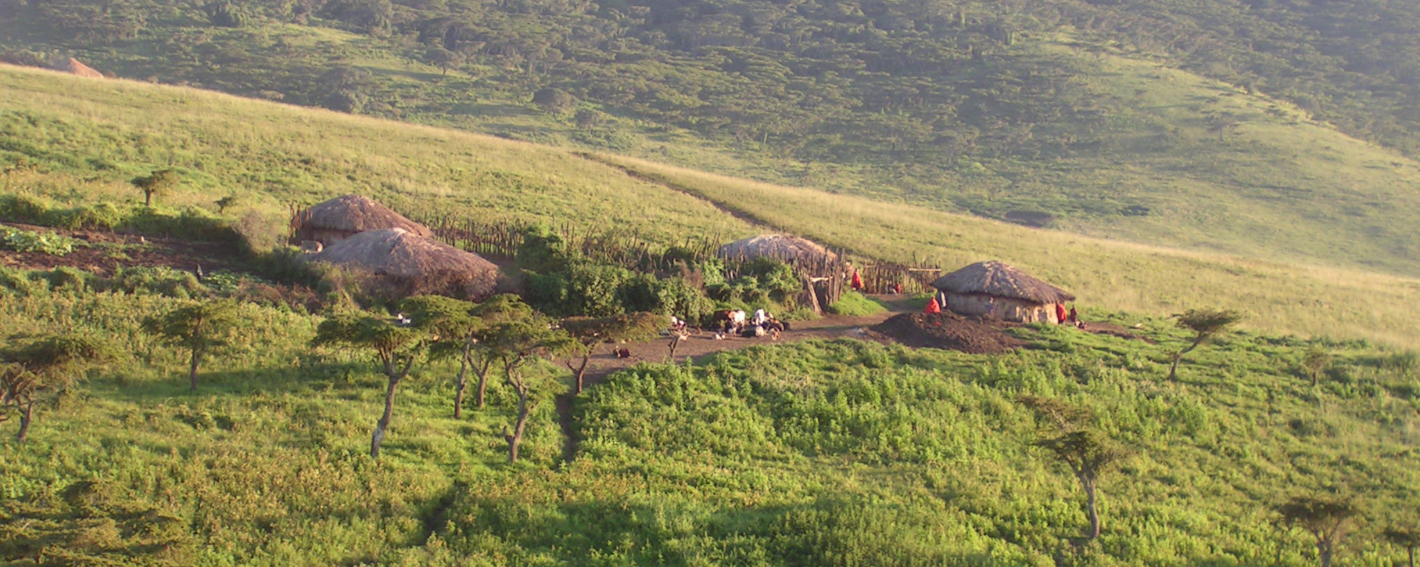 Top 6 Things to do in Tanzania