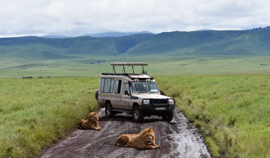 Ngorongoro Crater