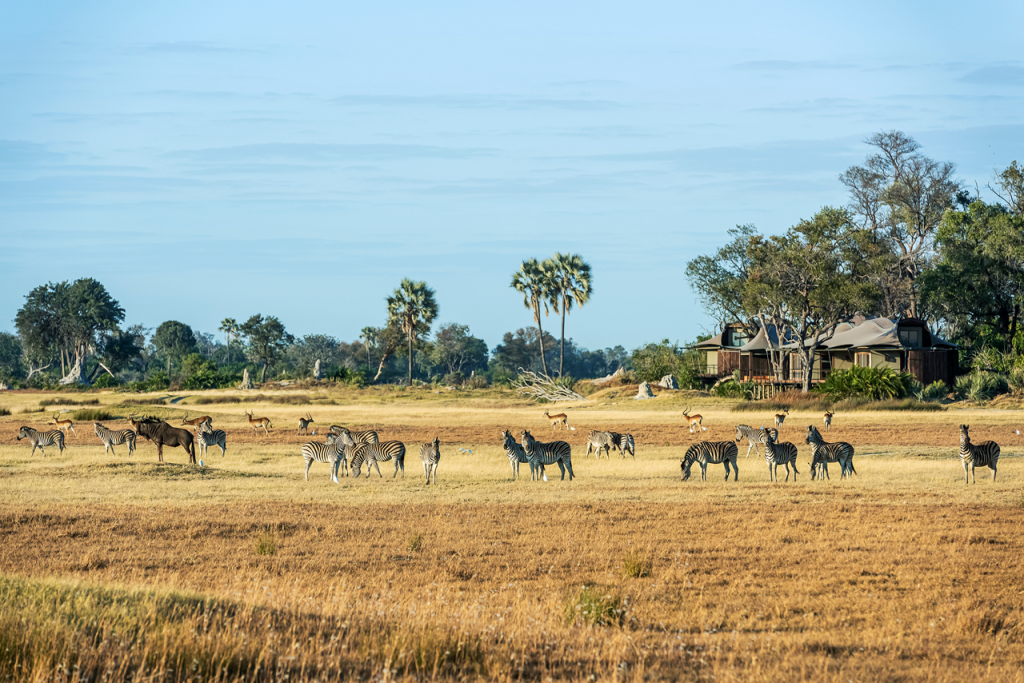 Xigera wildlife in the foreground with Xigera Lodge in the background.