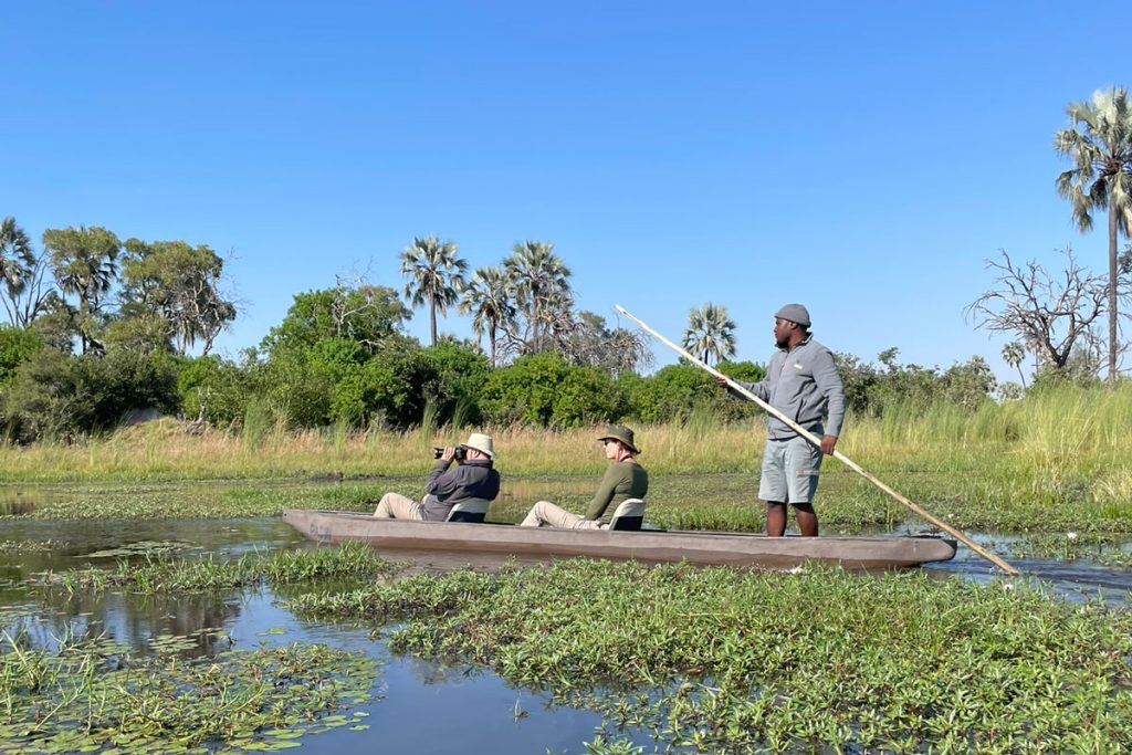 A makoro, or little canoe, exploring the lagoon at Qorokwe Camp.
