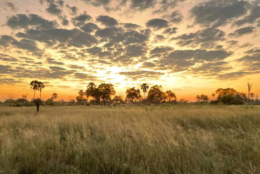 sunrise in Botswana