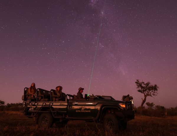 Star Safari at Royal Malewane, South Africa