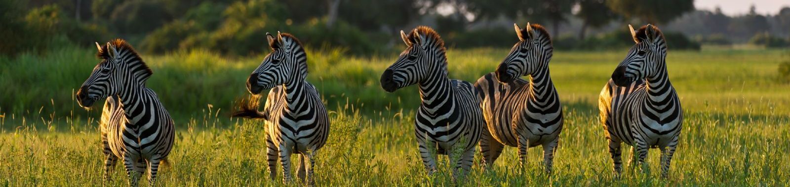 Botswana, Africa