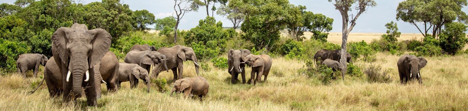 Kenya, Africa
