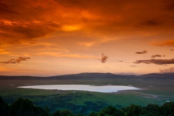 Ngorongoro