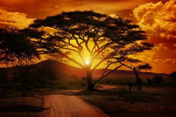 Serengeti National Park