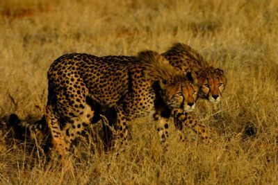 Best of South Africa