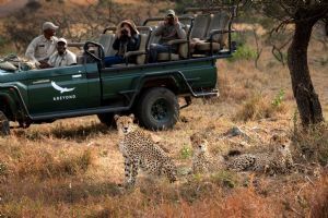 &Beyond Phinda Zuka Lodge