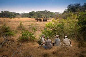 &Beyond Phinda Zuka Lodge