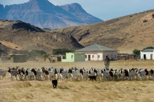 Wilderness Damaraland Camp