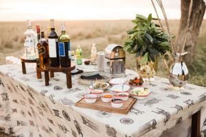 Elewana Elephant Pepper Camp