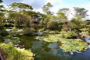 Finch Hattons Luxury Tented Camp