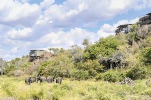 Singita Lebombo Lodge