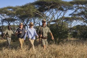 Singita Pamushana