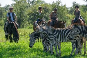 Anantara Stanley & Livingstone Victoria Falls Hotel