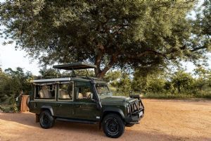 Elewana Tarangire Treetops