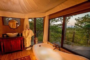 The Elephant Camp, Victoria Falls