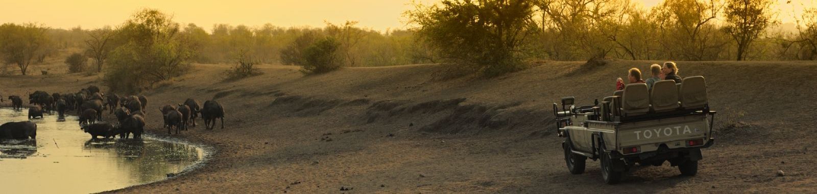 Tintswalo Safari Lodge in Manyeleti Game Reserve, South Africa