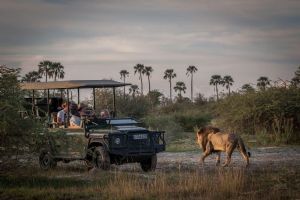 Wilderness Chitabe Lediba