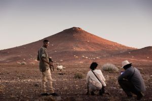 Wilderness Desert Rhino Camp