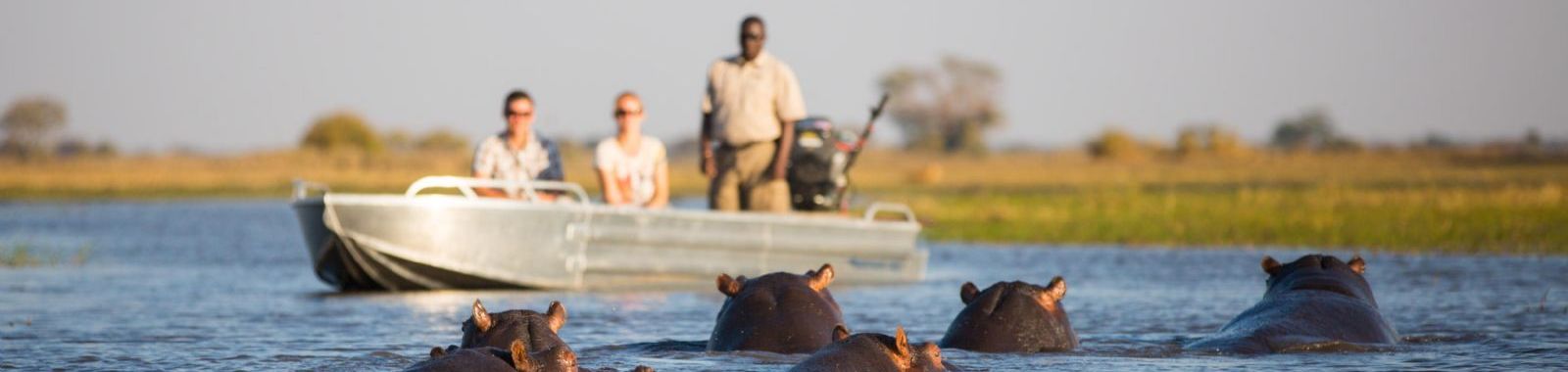 Wilderness Shumba