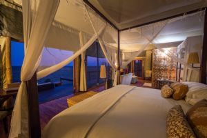 Wilderness Shumba