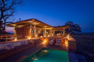 Wilderness Shumba