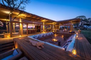 Wilderness Shumba