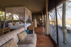 Wilderness Shumba