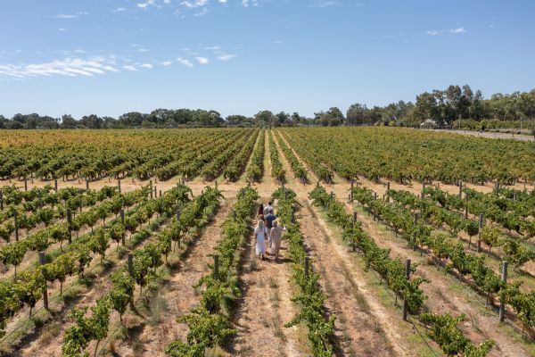 Swan Valley Tour