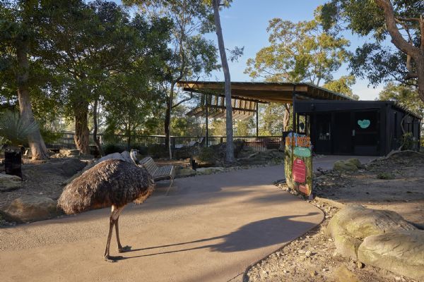 Taronga Zoo Wild Australia Tour