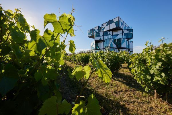 Wine Regions