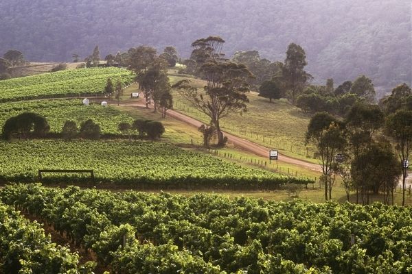 Hunter Valley