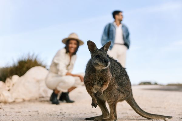 Kangaroo Island