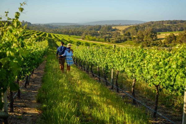 Wine Regions