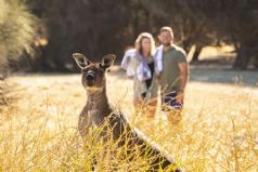 Australia Indulgence