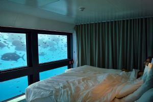 Reefsuite