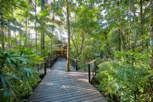 Silky Oaks Lodge