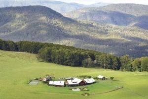 Spicers Peak Lodge